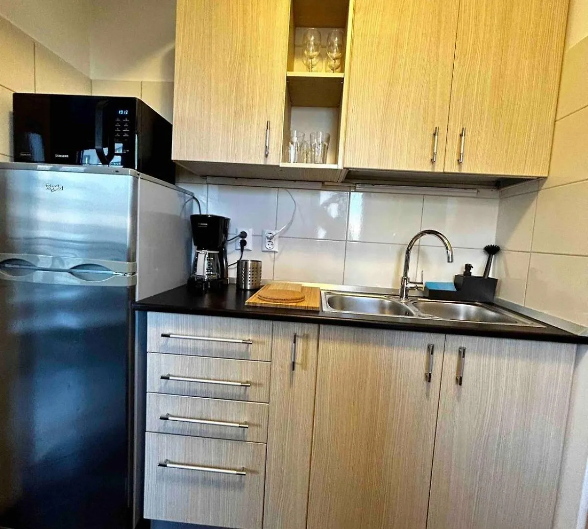 Central Apartment Bucharest - Obor